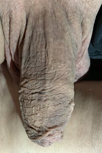 sensual bbw dolls exploring their sexual wishes together